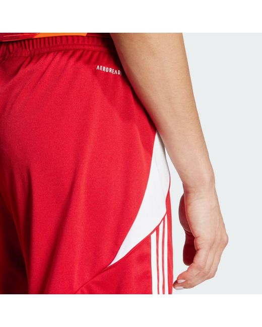 Adidas Originals Red Funktionsshorts TIRO 24 SHORTS