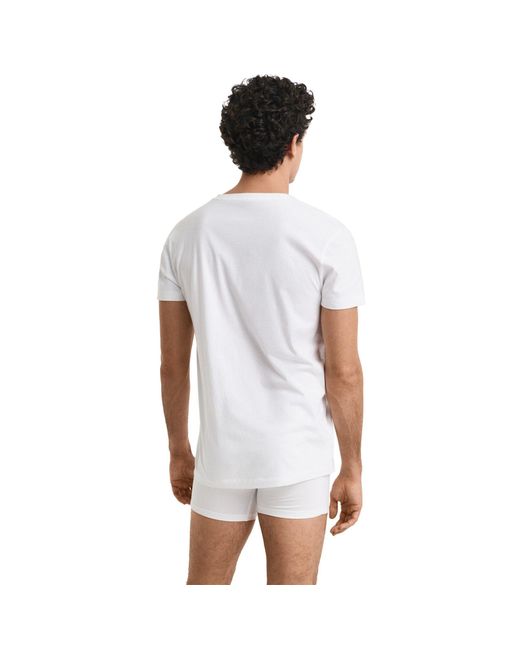 Gant T-Shirt Baumwolle (Packung, 4er Pack) in Metallic für Herren