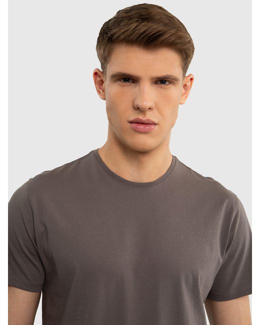 Big Star T-Shirt BASIC in Gray für Herren