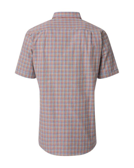 Redmond Kurzarmhemd 251460999 regular fitButton-Down in Purple für Herren