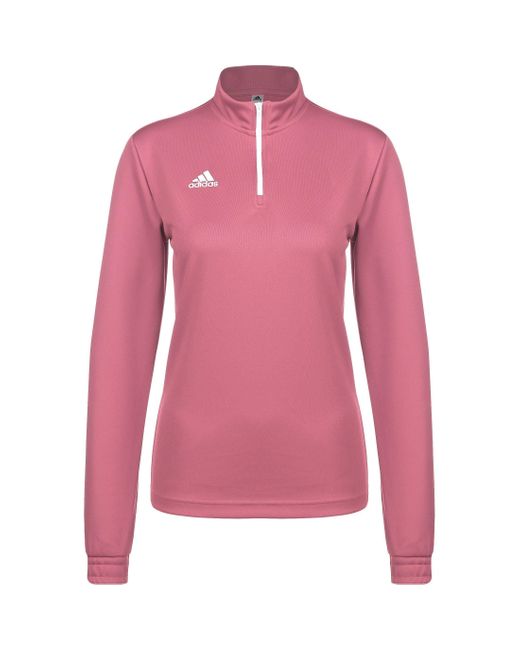 Adidas Originals Pink Entrada 22 Trainingspullover