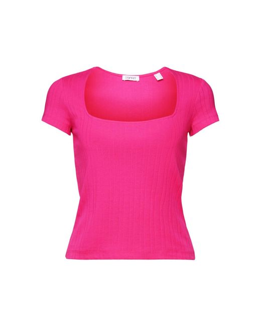 Esprit Pink T-Shirt mit Karree-Ausschnitt (1-tlg)
