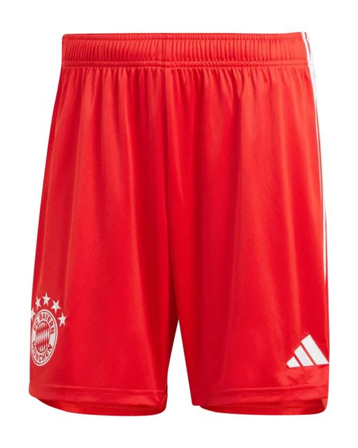 adidas Originals Shorts FC Bayern (1-tlg) in Rot für Herren | Lyst DE