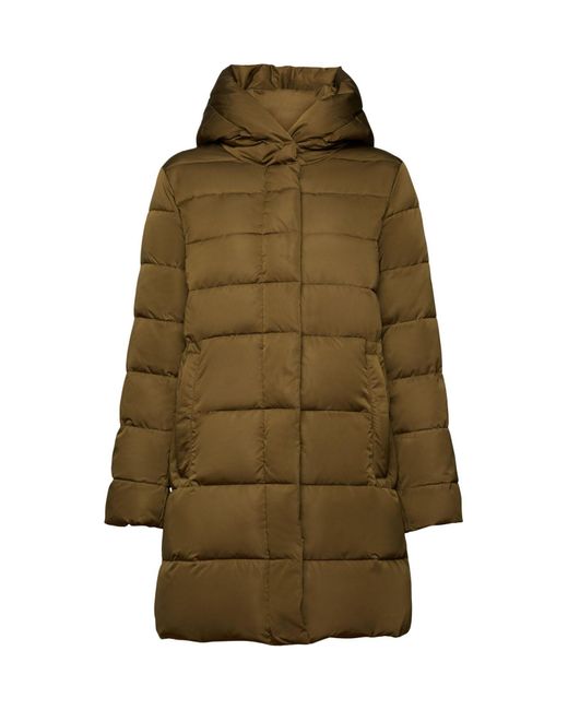Esprit Collection Steppmantel Coats woven in Grün | Lyst DE