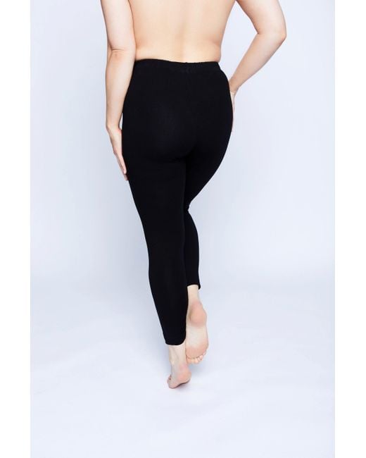 Ulla Popken Leggings - bordeaux