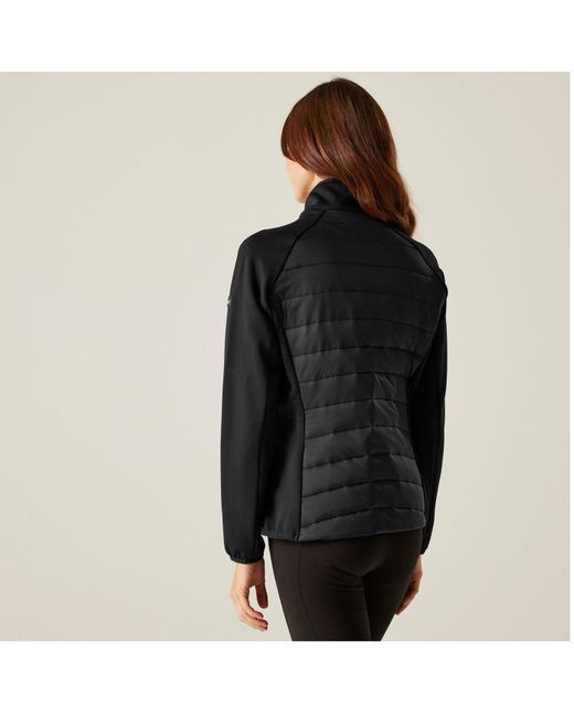 Regatta Black Clumber V Hybrid Softshelljacke