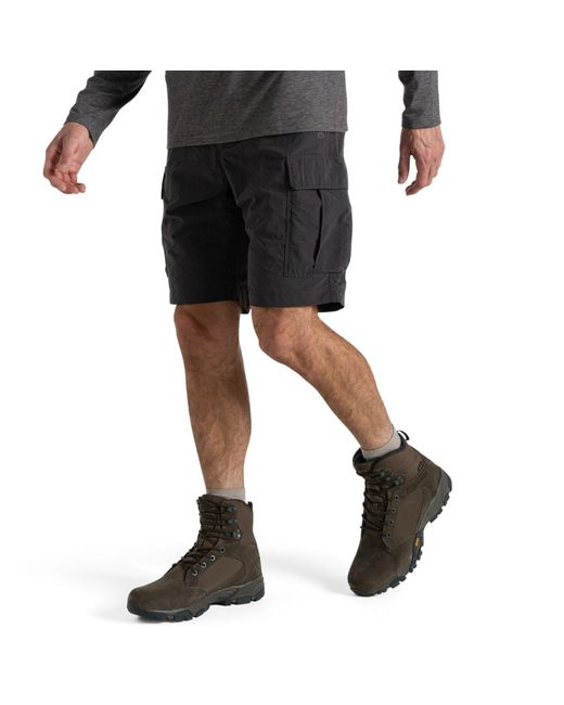 Craghoppers NosiLife Cargo Shorts III (0-tlg) in Gray für Herren
