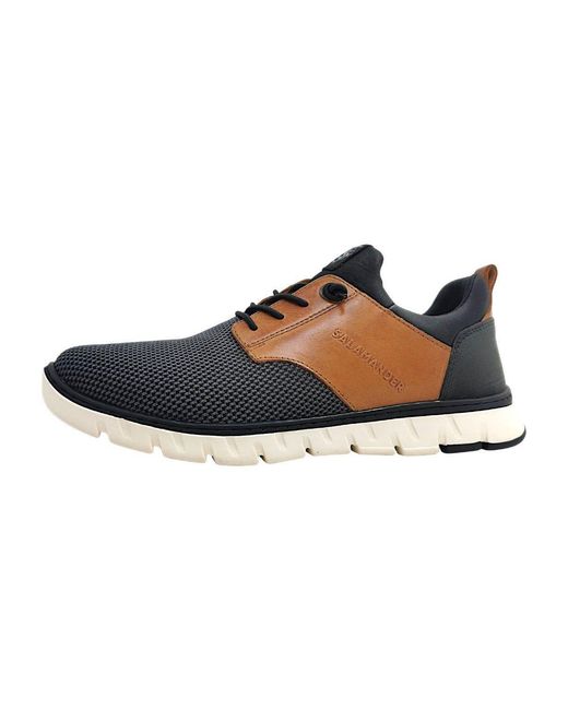 Salamander Blue Slipper