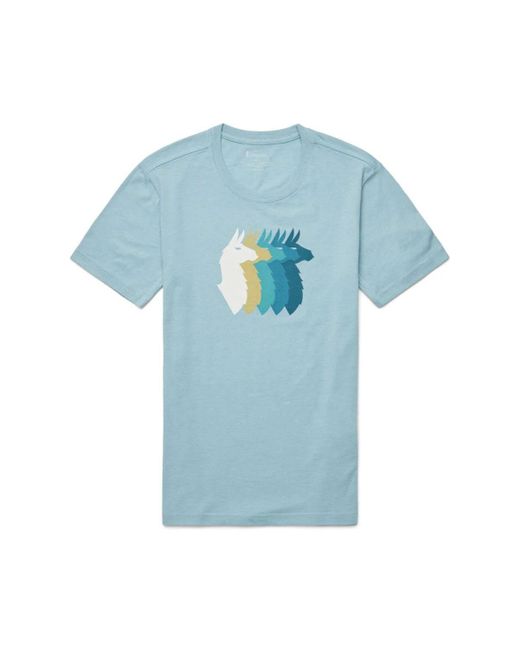 COTOPAXI Llama Sequence Org.T-Shirt Sea Spray in Blue für Herren