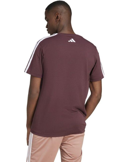 Adidas Kurzarmshirt M C COLLEG TEE AURRUB in Purple für Herren