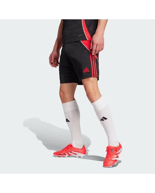 Adidas Shorts TIRO24 TRSHO in Gray für Herren