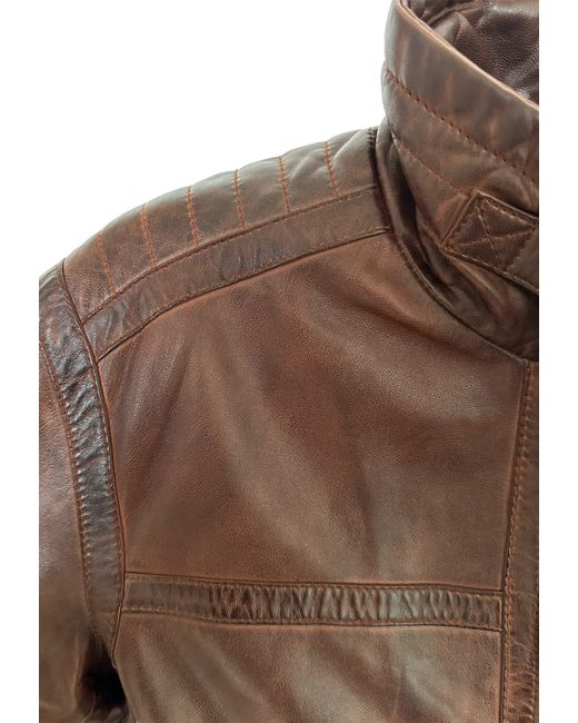 C.B.L. Lederjacke MQ-45467 mit kurzen stehkragen in Brown für Herren