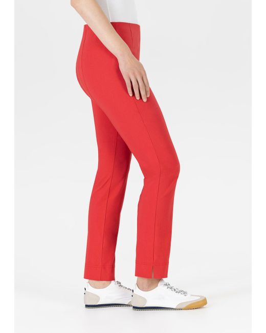 SteHmann Red Hose INA mit Stretch