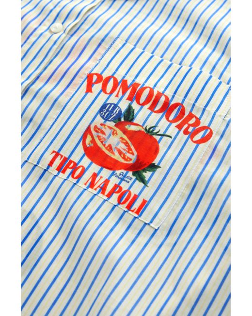 Next Blue Langarmhemd Langärmliges, leichtes Shirt aus 100 % Baumwolle (1-tlg)