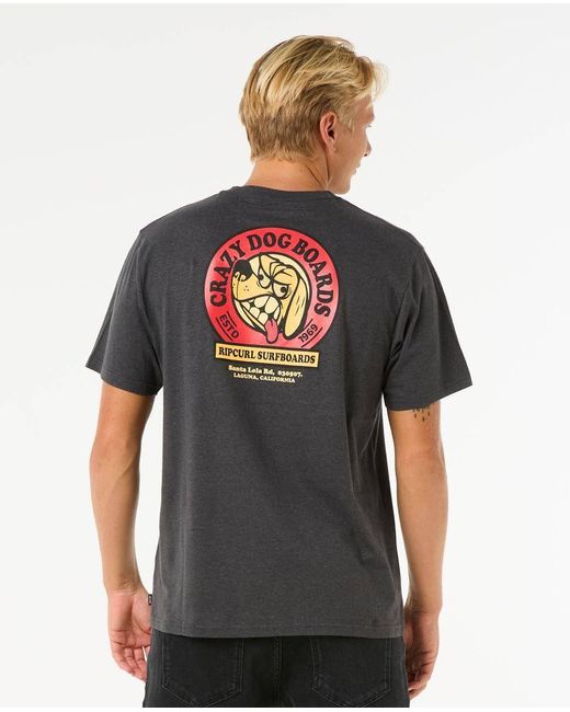 Rip Curl Shaper Address T-Shirt in Gray für Herren