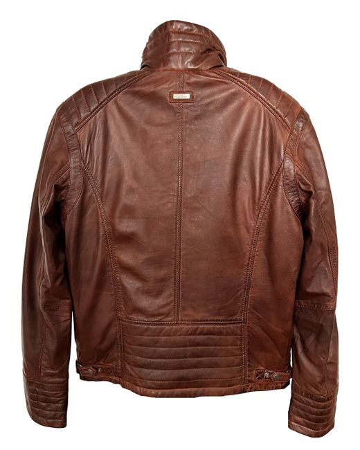 C.B.L. Lederjacke MQ-45467 mit kurzen stehkragen in Brown für Herren