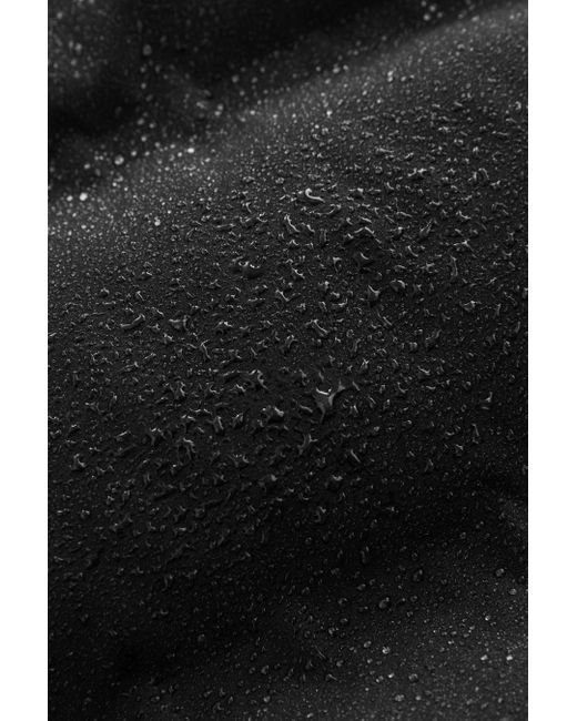 Next Winterjacke Wasserabweisender Puffer-Kapuzenmantel, Heatseal (1-St) in Black für Herren