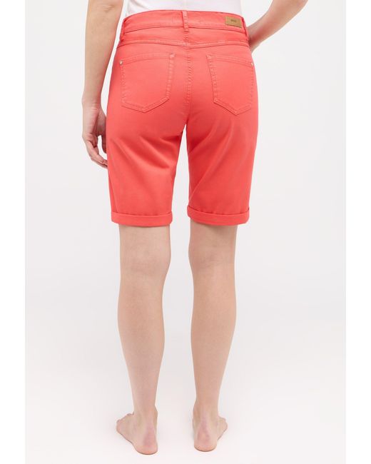 ANGELS Red Chinos
