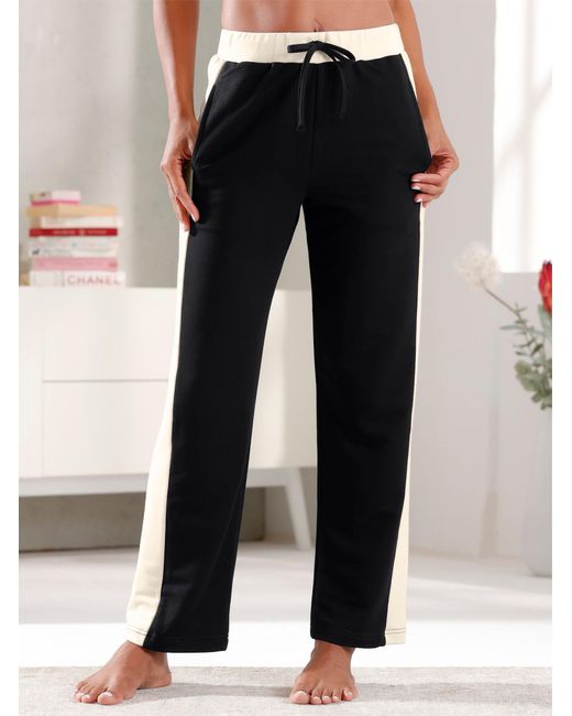 WITT Black Homewearhose Hose