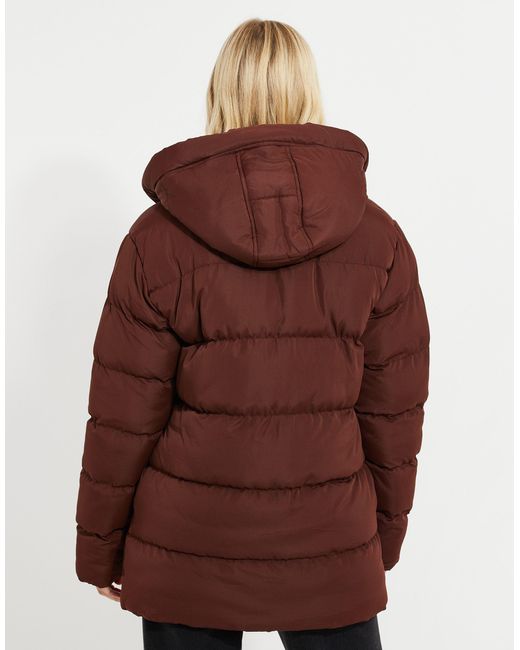 Threadbare Brown Steppjacke THB Curve Hayley Puffer Jacket mit gemütlicher Kapuze