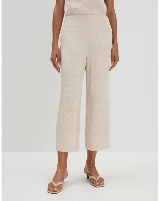 someday. Multicolor Chinohose Hose Curilo texture