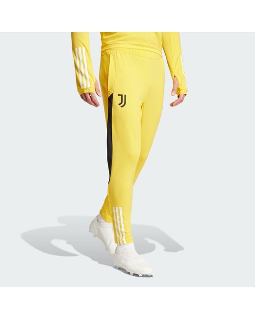 Adidas Juventus Tiro 23 in Yellow für Herren