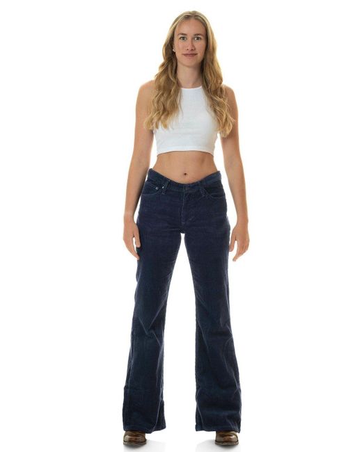 Comycom Blue Cordhose Bootcut navy blau