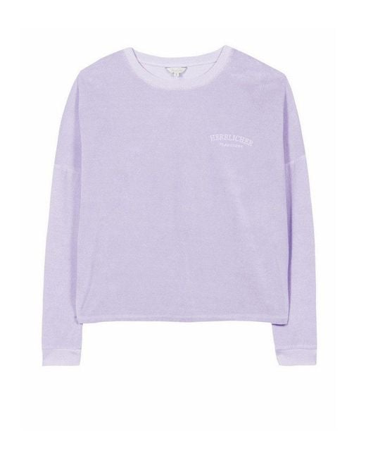 Herrlicher Purple Rundhalspullover Smila Jersey Velour aus weicher Velours Qualität