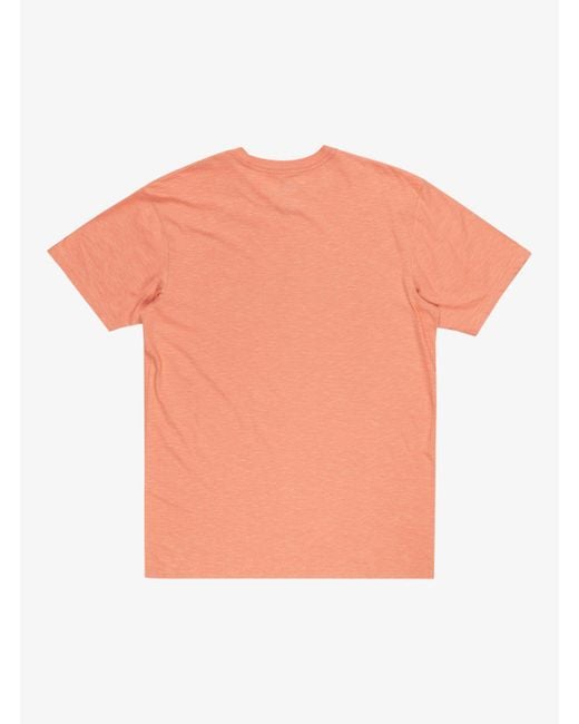 Quiksilver T-Shirt STEPINSIDESS TEES in Pink für Herren