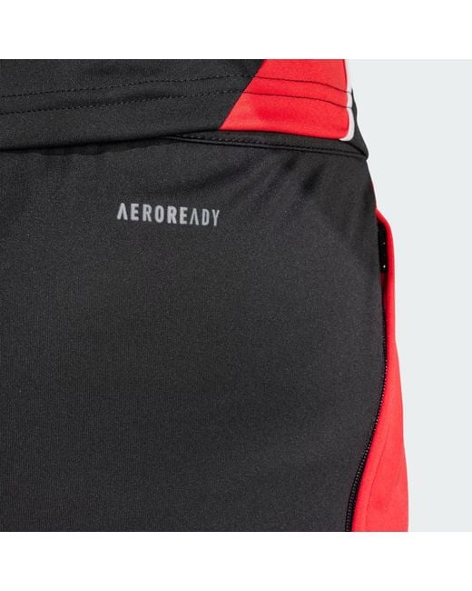 Adidas Shorts TIRO24 TRSHO in Gray für Herren