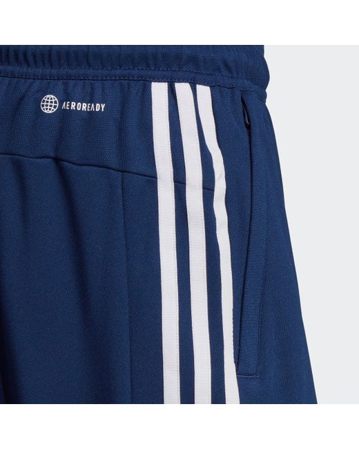 Adidas Originals Shorts TR-ES PIQ 3SHO (1-tlg) in Blue für Herren