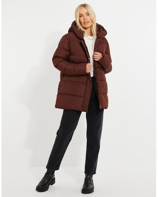 Threadbare Brown Steppjacke THB Curve Hayley Puffer Jacket mit gemütlicher Kapuze