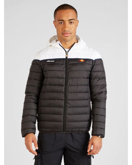 Ellesse Steppjacke Lombardy (1-St) in Black für Herren