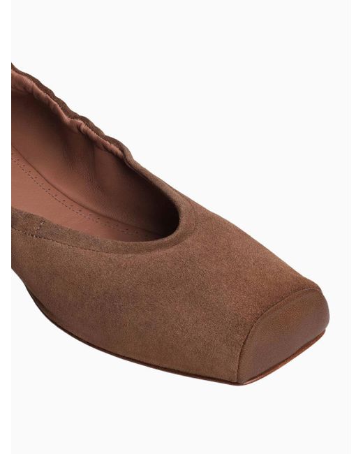Bailarinas Punta Cuadrada, Talla Alaïa de color Brown