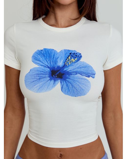 Outcast Blue Ginger Top