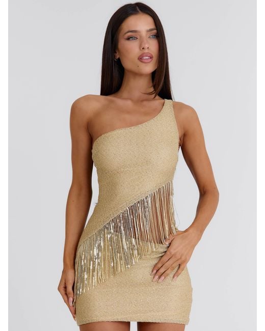 Outcast Metallic Tesza Mini Dress