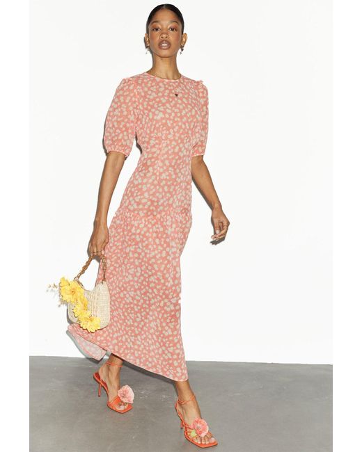 Never Fully Dressed Pink Coral Daisy Sheer Dress