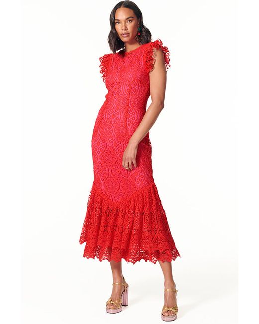 Never Fully Dressed Red Lace Frida | Lyst