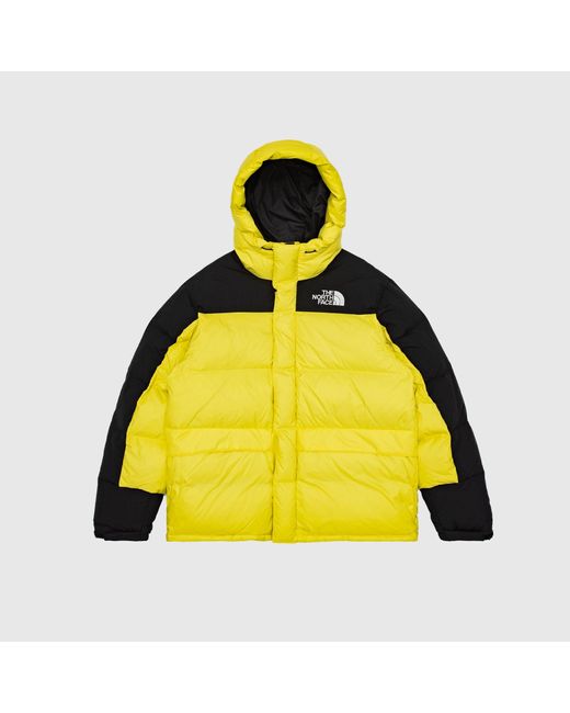 The North Face Hmlyn Down Parka in Yellow for Men | Lyst