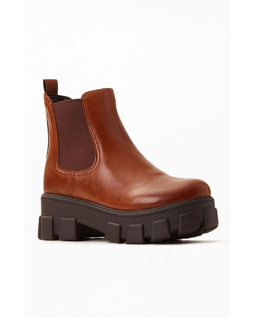 darielle sam edelman