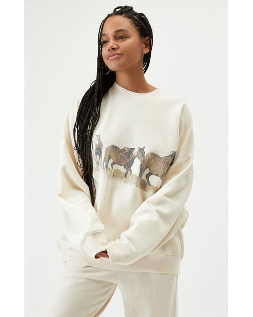 Pacsun horse sweatshirt Clearance