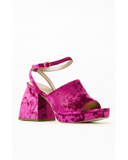 circus by sam edelman miranda heel