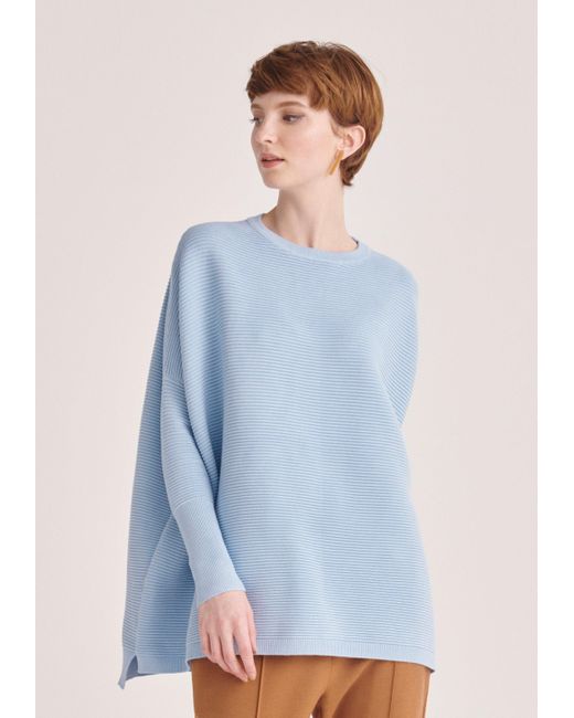 Paisie Synthetic Ribbed Jumper in Blue 