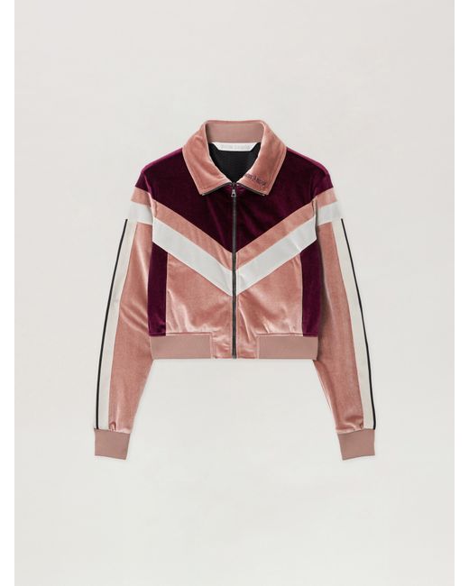 Palm Angels Pink Cropped Velvet Jacket