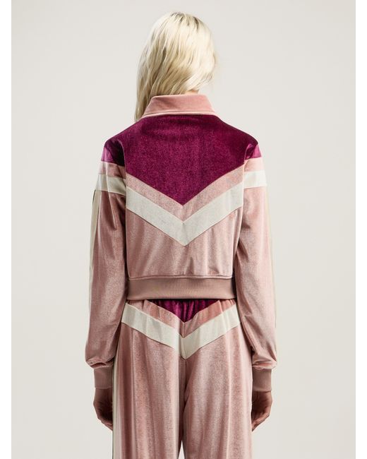 Palm Angels Pink Cropped Velvet Jacket