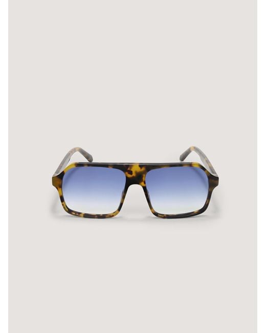 Palm Angels Multicolor Camino Sunglasses