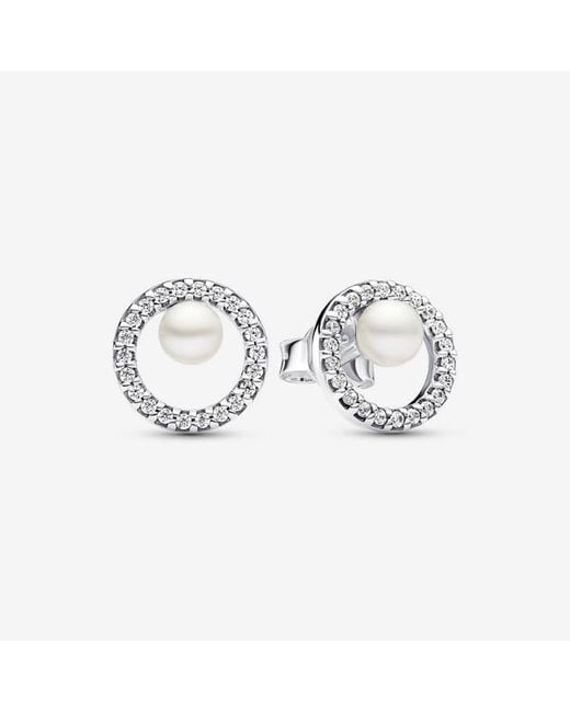 Pandora Metallic Treated Freshwater Cultured Pearl & Pavé Halo Stud Earrings