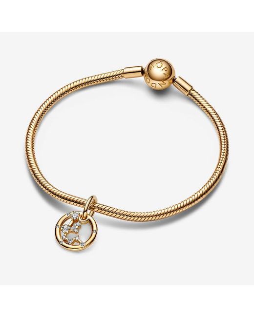 Pandora Metallic Aquarius Zodiac Dangle Charm