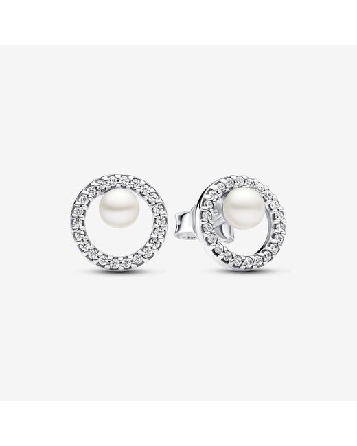 Pandora Metallic Treated Freshwater Cultured Pearl & Pavé Halo Stud Earrings