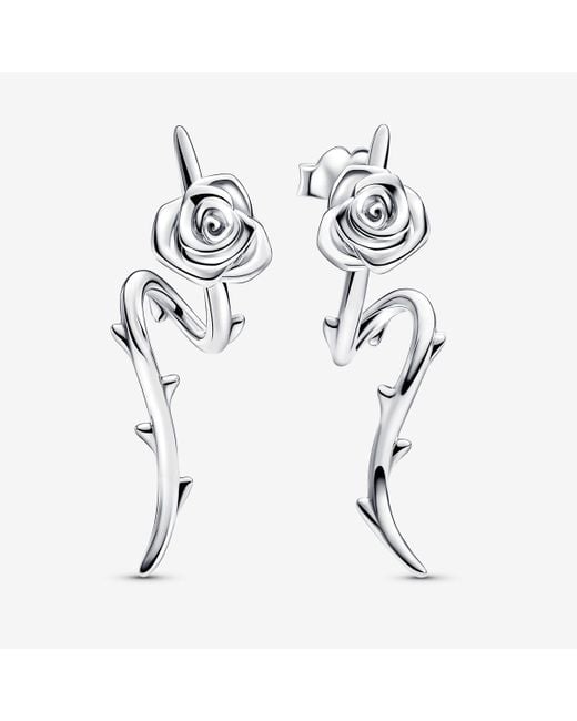 Pandora White Rose In Bloom Curved Stud Earrings